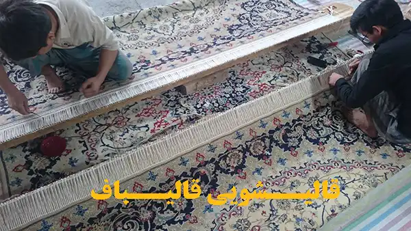 نمونه ریشه زنی فرش
